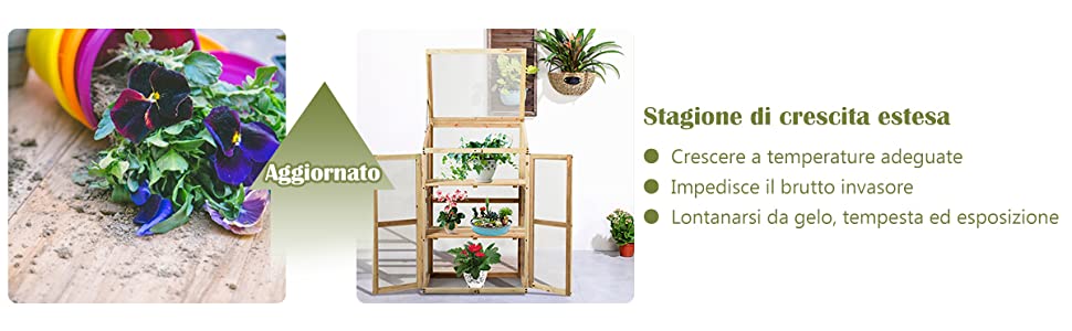 Aggiunge un tocco di verde