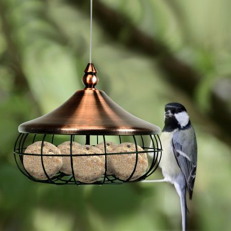 Mangiatoia per uccelli per palline di grasso, Mangiatoia da appendere all’esterno con filo in acciaio inox