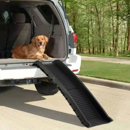 Rampa leggera portatile compatta antiscivolo per cani 155 cm, Rampa ideale per auto camion e SUV