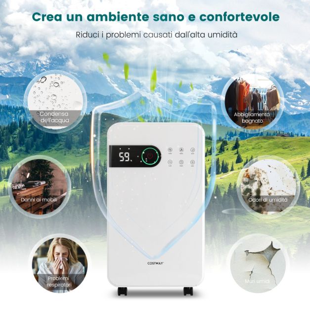 CHIVALZ Deumidificatore per cantina con tubo di scarico