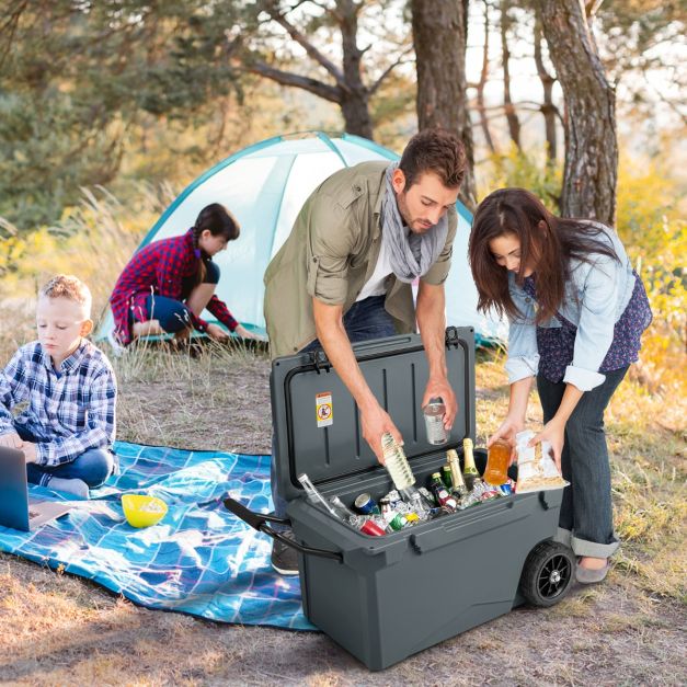 Acquista Borsa per il pranzo portatile con isolamento termico Borsa da picnic pieghevole Borsa termica per il ghiaccio in Italia a partire da 6.7