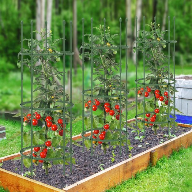 Gabbia di supporto verticale da giardino per piante rampicanti e fiori, altezza 150 cm, supporto per piante rampicanti, glicine e rose, colore nero