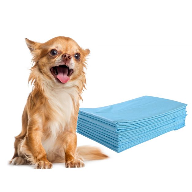 Traverse usa e getta con controllo odore, Traverse con asciugatura rapida  per cani gatti conigli 60 x 43 cm - Costway