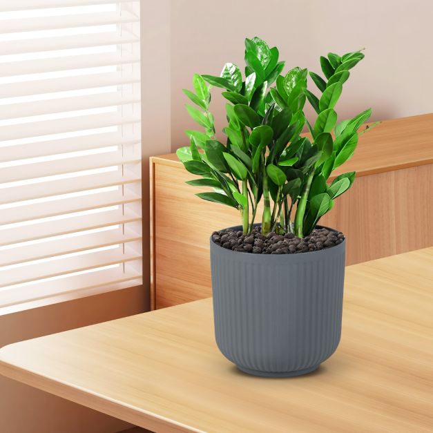 Acan Tradineur - Set di 4 vasi rotondi in plastica trasparente, vaso