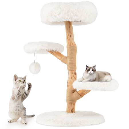 luxury condo per gatti