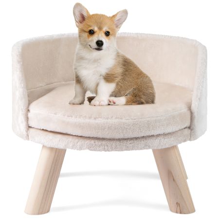 divano letto per cani