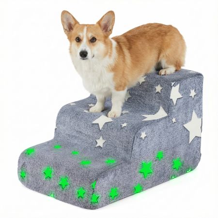 Scale per cani