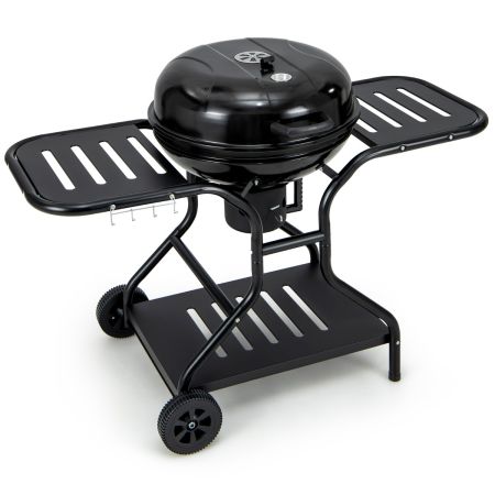 barbecue a carbone da esterno
