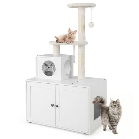 casetta per gatti