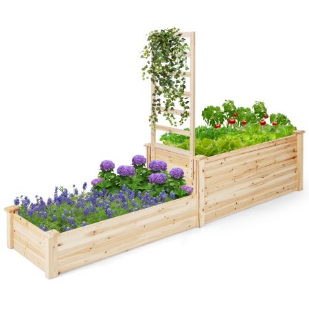 cassetta di legno per verdure
