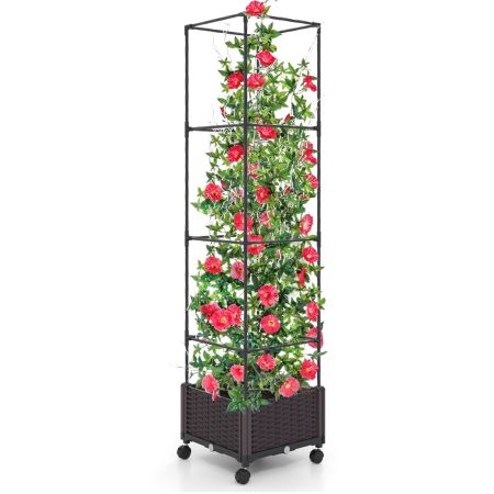 cassetta per pomodori