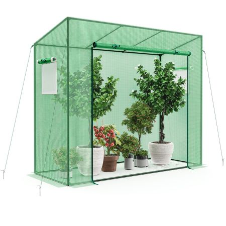mini serra da giardino
