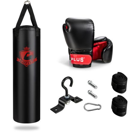 sacco da boxe appeso con guantoni da boxe 12 oz