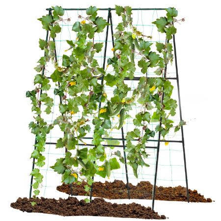 trellis per letti da giardino sollevati