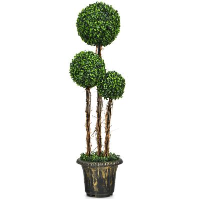 Albero Di Betulla Senza Foglie Fotografia Stock - Immagine di pavimento